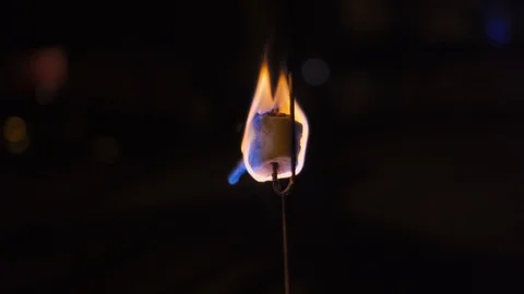 Burning Marshmallow Stock Footage 115353761