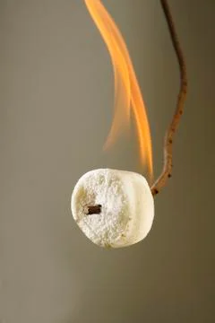 Burning marshmallow on  stick Stock Photos