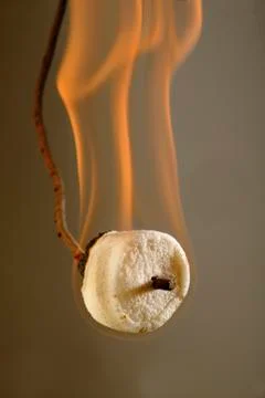 Burning marshmallow on  stick Stock Photos