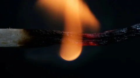 Burning Match On Black Background Macro Stock Footage 80822839