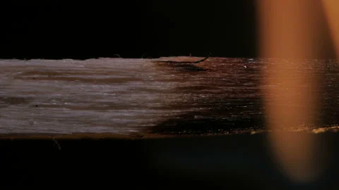 Burning match on black background in macro Stock Footage 106029855