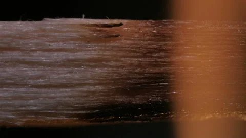 Burning match on black background in macro Stock Footage 106033308