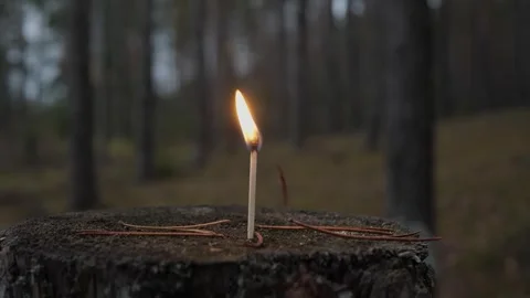 Burning match in a dark forest Stock Footage 342865405