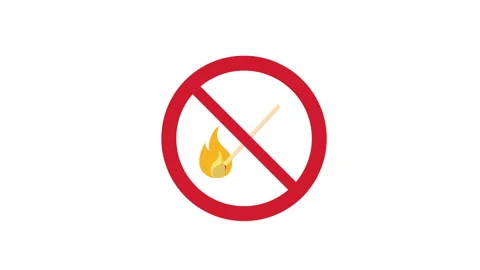 Burning match. Stock Footage 309750973