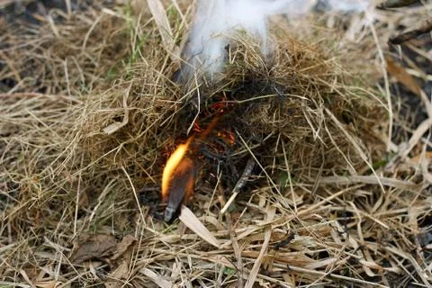 Burning match in the grass Stock Photos