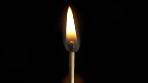 Burning match stick. Dark light studio. Closeup Match burning and combusting Stock-Footage 150557110
