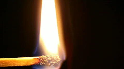 Burning Match Stick Stock Footage 671519