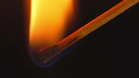 Burning Match Stick Stock Footage 234242563
