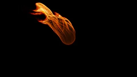 Burning matter dances in the air. Flashes of fire. Vidéo 304954322