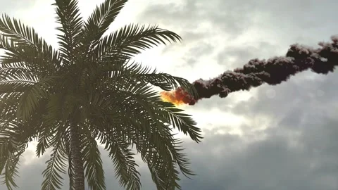 Burning meteor asteroid falling from the sky behind palm trees Stock Footage 241386039