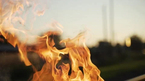 Burning newspaper Stock Footage 251009480