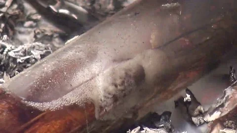 Burning Object with Liquid Видео 69163689