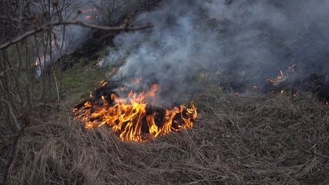Burning old dry grass. Burning of straw on the field Stock Footage 89625027