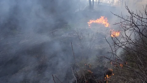 Burning old dry grass. Burning of straw on the field 스톡 동영상 89625061