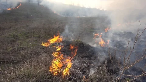 Burning old dry grass. Burning of straw on the field Stock Footage 89625124