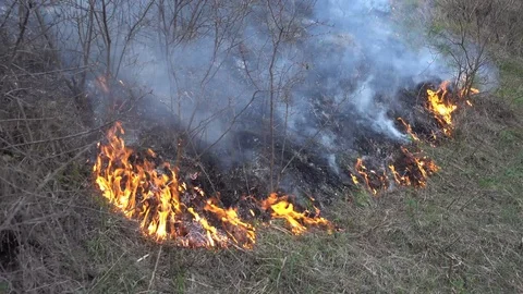 Burning old dry grass. Burning of straw on the field Stock Footage 89625206