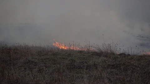 Burning old dry grass. Burning of straw on the field Stock Footage 89643489