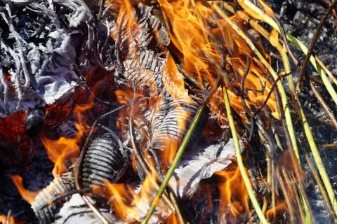Burning the old dry grass 스톡 사진