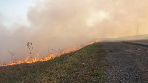 Burning old dry last year's grass. A lot of smoke rises from the burning grass Stock-Footage 119620441