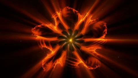 Burning orange fiery flower with rays of light Stock Footage 82993155