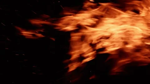 Burning orange fire flames moving on the wind isolated on the black background Stock Footage 131904411