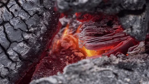 Burning out tree stump with coals and flame closeup Stock Footage 103350524