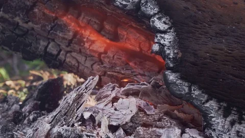 Burning out tree trunk with coals and sparks closeup Stock Footage 103349652