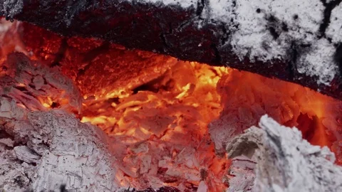 Burning out tree trunk with coals and nice sparks macro Stock Footage 103349955