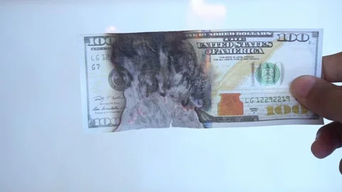 Burning pack of money isolated black background, concept of Ignition and Wealth Stock Footage 322159480