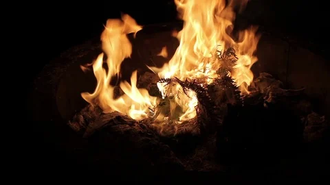 Burning Pages Stock-Footage 77195332