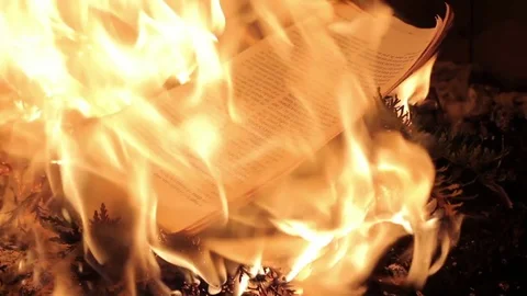 Burning Pages Stock-Footage 77195392