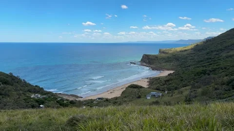 Burning palms beach Stock Footage 326005358