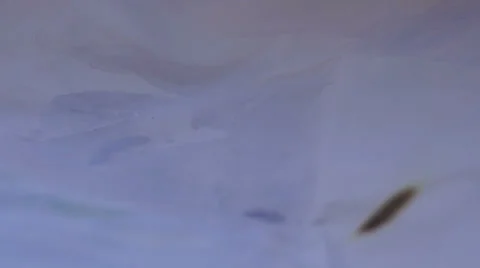 Burning Paper (1) Stockbeeldmateriaal 34127348