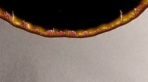 Burning paper 11 Stock Footage 25240983