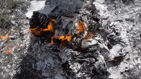Burning paper in a campfire in slow motion Stock Footage 160896675