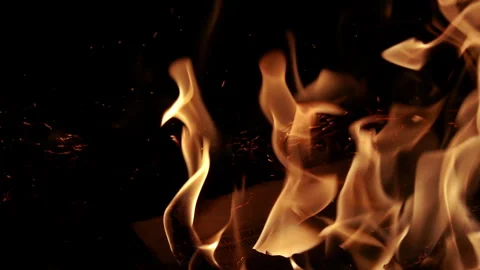 Burning Paper Engulfed in Flames, Close Up Fire Detail Stock Footage 346176094