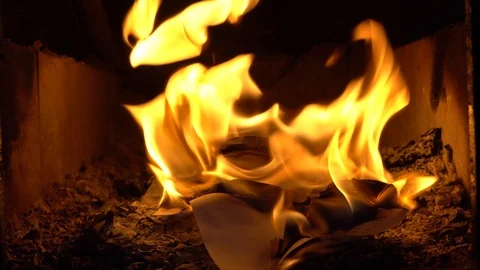 Burning paper files and bills Stock Footage 103295802