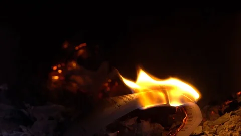 Burning paper files and bills Stock Footage 103296490
