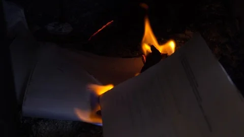 Burning paper files and bills Stock Footage 103580153