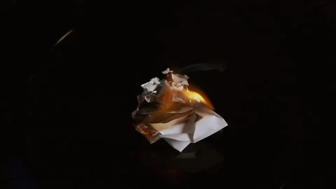 Burning paper on fire beautiful close shot Stock Footage 156680675