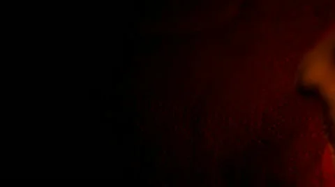 Burning paper Video stock 11346394