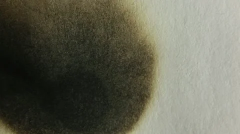 Burning paper Stock Footage 12602536