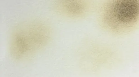 Burning paper Stock Footage