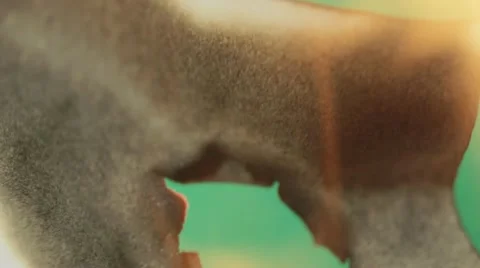 Burning paper Stock Footage 12687992