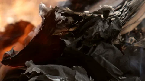 Burning paper Video stock 59576241