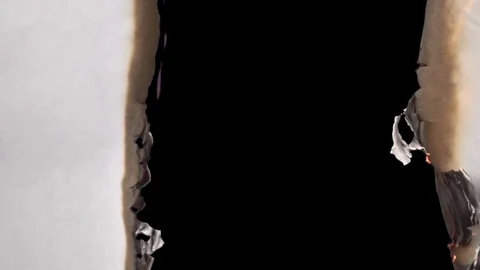 Burning Paper Vidéo 81730798