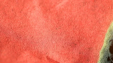 Burning paper. Macro Stock Footage