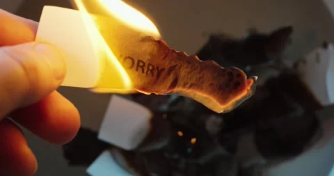 Burning Paper with Word Worry in Slow Motion Stock Footage 336355847