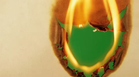 Burning paper.Greenscreen. Video stock 12425284