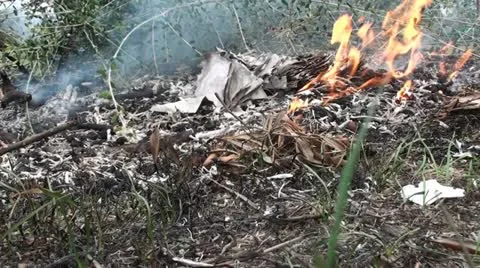 Burning Papers (2) Vidéo 22362423